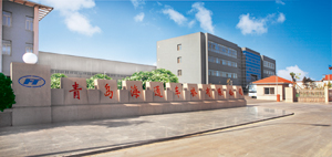 SAP汽車零部件行業ERP實例